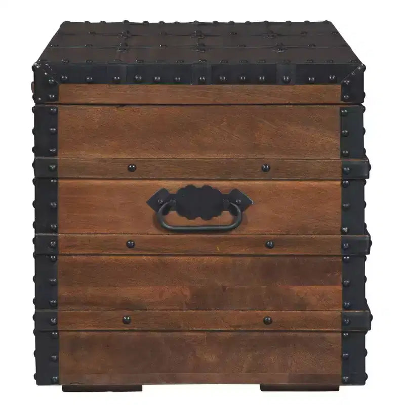 Vintage-Inspired Storage Trunk, Brown Wood with Black Metal Hardware