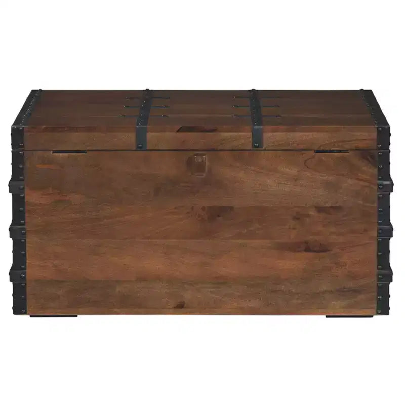 Vintage-Inspired Storage Trunk, Brown Wood with Black Metal Hardware